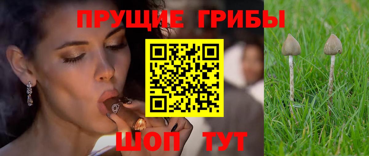 Псилоцибиновые грибы Psilocybine cubensis  Вход с VPN  цены наркотик  Чехов 